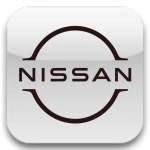 Auto usate Nissan
