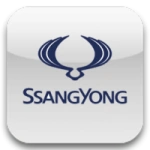 Auto usate Ssangyong