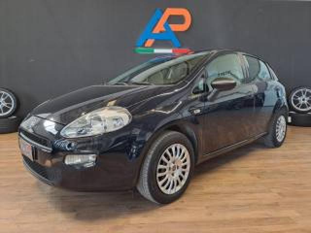 Fiat Punto 1.2 8v 5 Porte Lounge Ok Neopatentati 