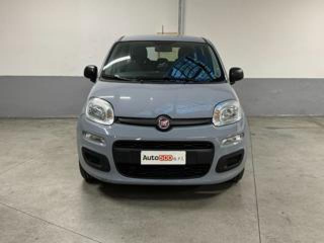 Fiat Panda 1.0 Firefly S&s Hybrid Easy 5 Posti 