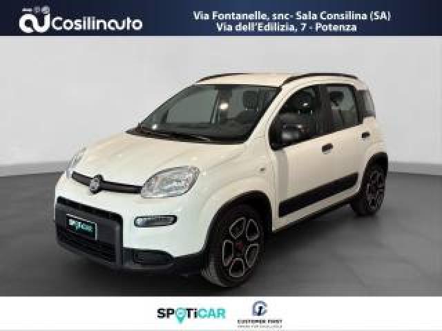 Fiat Panda 1.0 Firefly S&s Hybrid City Cross 