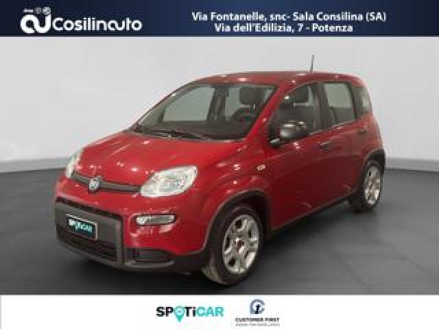 Fiat Panda 1.0 Firefly S&s Hybrid City Life My24 