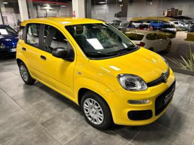 Fiat Panda 1.0 Firefly S&s Hybrid Pop - Km 0 - Prezzo Promo 