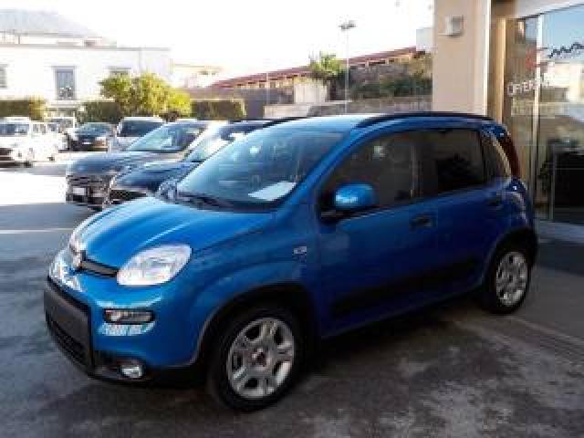 Fiat Panda My25 - 1.0 Firefly Hybrid Icon 