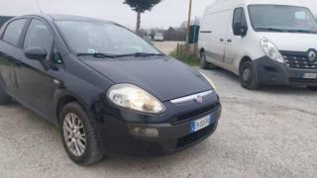 Fiat Punto Evo 1.2 5 Porte Per Neopatentati - Unico Proprietario 