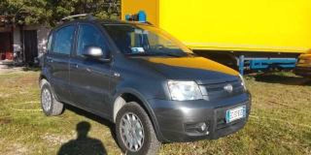 Fiat Panda 1.2 4x4 Climbing 
