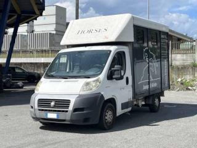 Fiat Ducato 30 2.3 Mjt Pc-Tn Furg.vetrato 