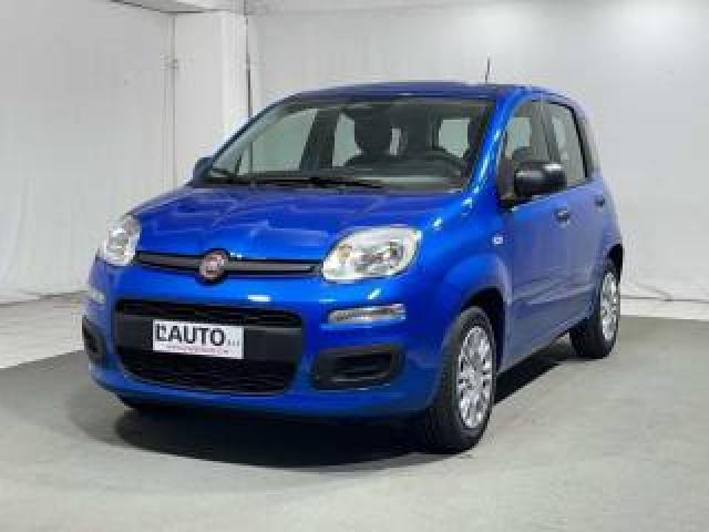Fiat Panda 1.0 Firefly S&s Hybrid Icon 