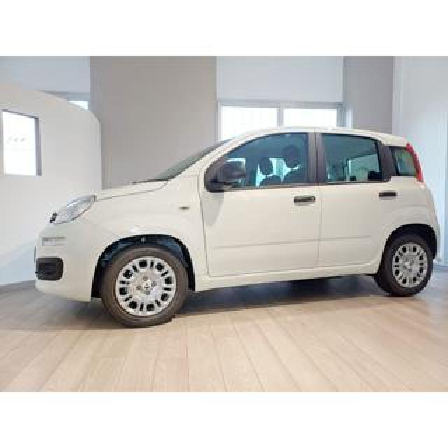 Fiat Pandina 1.0 Firefly S&s Hybrid] Adas Pack City 
