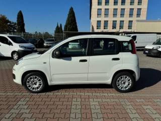 Fiat New Panda 1.2  S.&s. E6d-Temp Easy 5 Posti Guidabile Neopa 