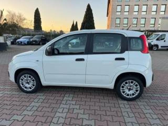 Fiat New Panda 1.2  S.&s. E6d-Temp Easy 5 Posti Guidabile Neopa 