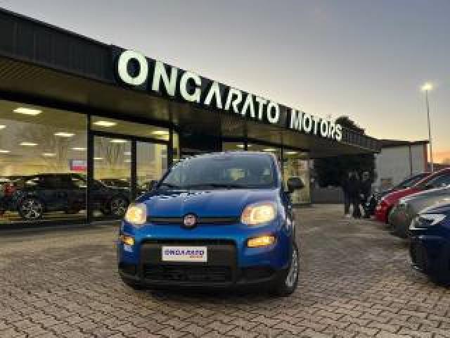Fiat Panda 1.0 Firefly S&s Hybrid #nuovo.modello 