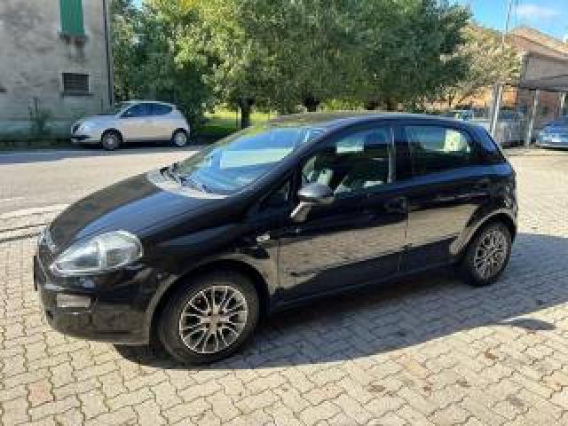 Fiat Punto Evo 1.3 Mjt 75 Cv 5 Porte Dynamic Ok Neopatentato 