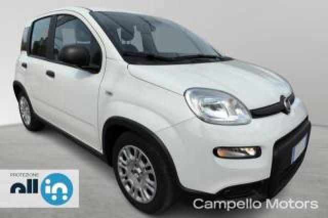 Fiat Panda Panda 1.0 70cv Hybrid Pandina 