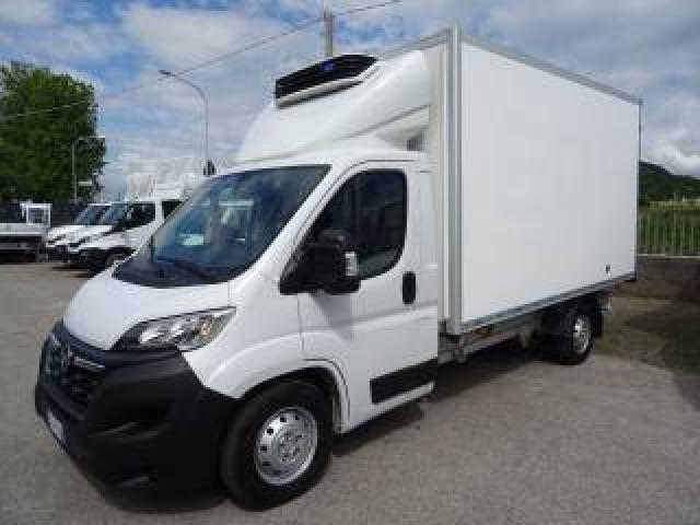 Opel Movano 35q Maxi 140hp Pl Cella 3.70 -20° Doppiatemperatur 