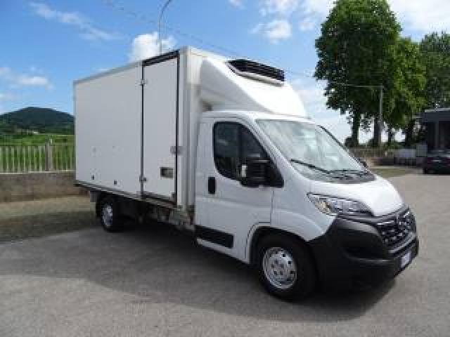 Opel Movano 35q.li Maxi 140hp Pl Cella 3.70 -20° Doppia Temp. 