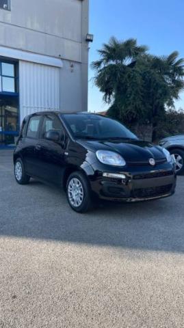 Fiat Pandina 1.0 Firefly 65 Cv Hybrid Pop 