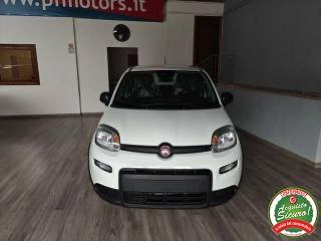 Fiat Panda 1.0 Firefly S&s Hybrid Pandina 