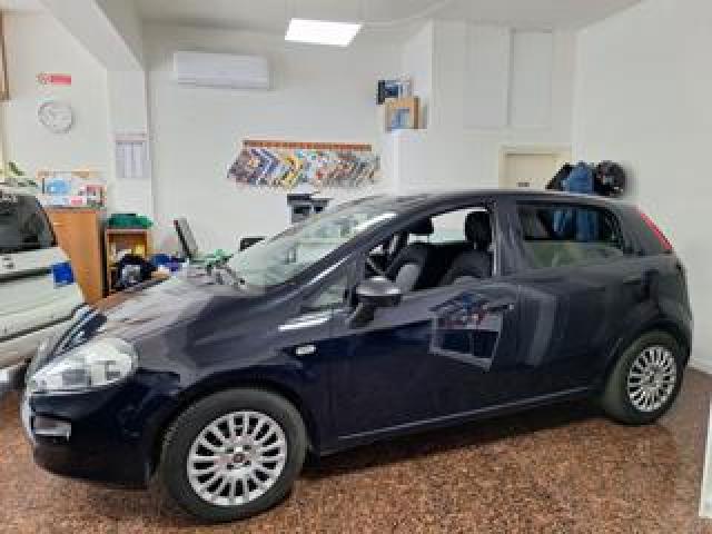 Fiat Punto 1.3 Mjt 95cv 5p - Unipro Tagliandata 