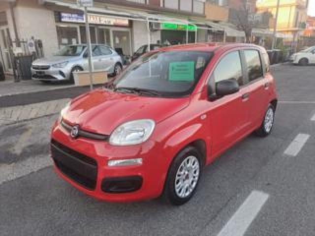 Fiat Panda 1.2 Gpl 69cv - Unipro Tagliandata 