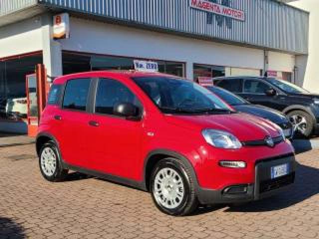 Fiat Panda 1.0 Firefly S&s Hybrid Pandina Km-Zero,promo* 