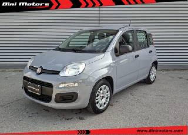 Fiat Panda 1.0 Firefly Hybrid City Life Legge 104 Iva Esposta 
