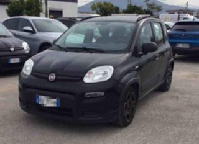 Fiat Panda 1.0 Firefly Hybrid City Life Legge 104 Iva Esposta 