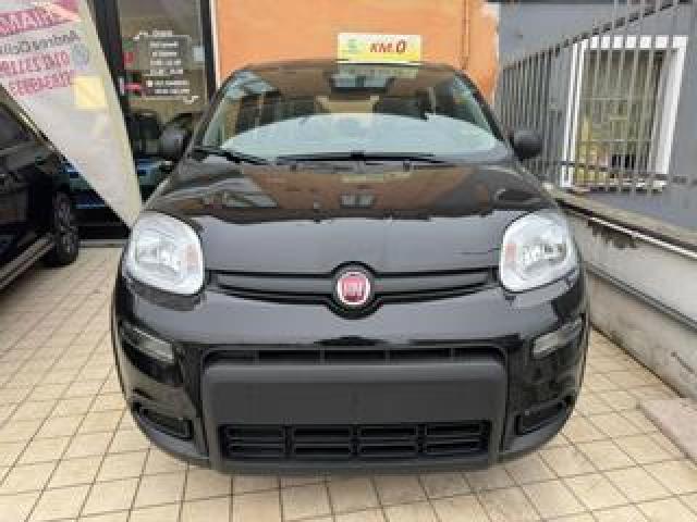 Fiat Panda 1.0 Firefly S&s Hybrid Pandina 