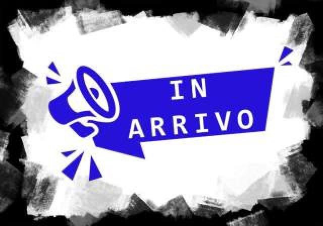 Bmw X1 Xdrive 23d 