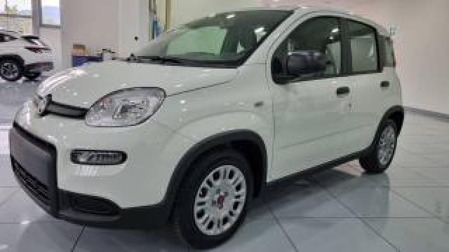 Fiat Panda 1.0hybrid 5 Posti Sensori Adas 