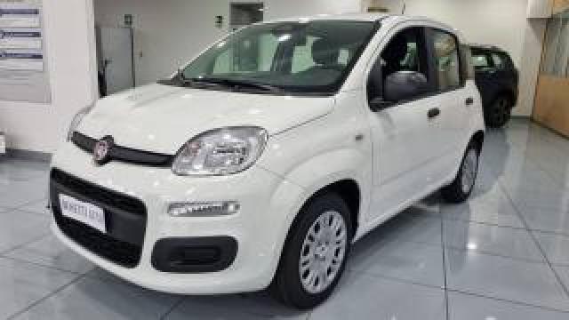 Fiat Panda 1.0 Hybrid 5posti  