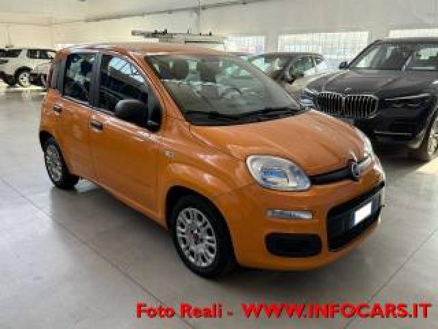 Fiat Panda Hybrid 1.0 Firefly 70 Cv Neopatentati  Prezzo Real 