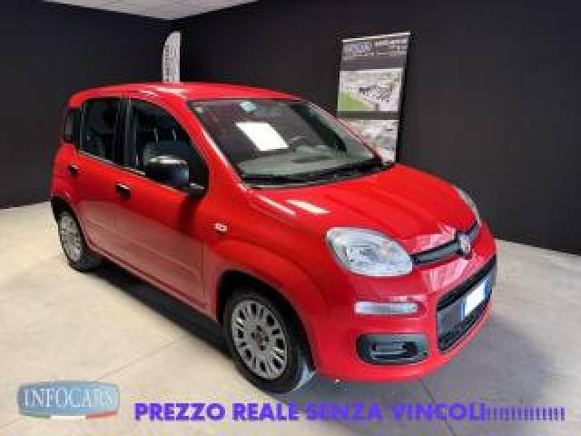 Fiat Panda Hybrid 1.0 Firefly 70 Cv Neopatentati - Promo 