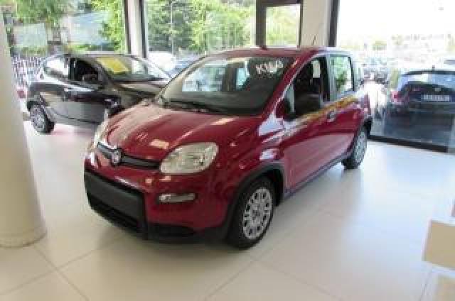 Fiat Panda 1.0 Firefly 70cv Hybrid Km.zero   