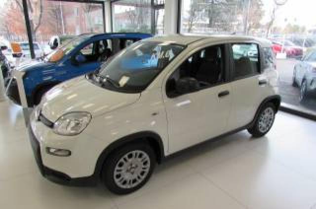 Fiat Panda 1.0 Firefly 70cv Hybrid Km.zero   