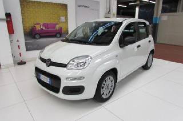 Fiat Panda 1.0 Firefly 70cv S&s Hybrid Easy 