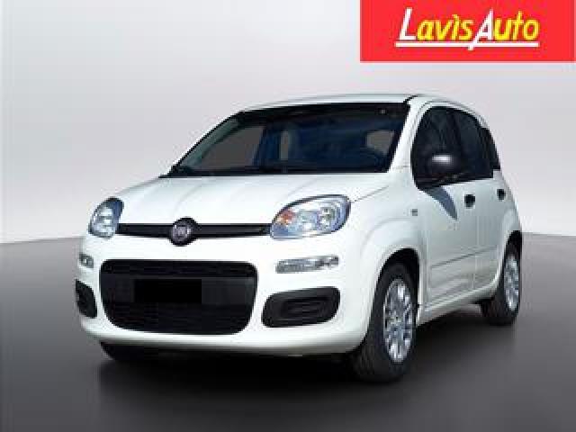 Fiat Pandina 1.0 Firefly 65 Cv Hybrid Icon 
