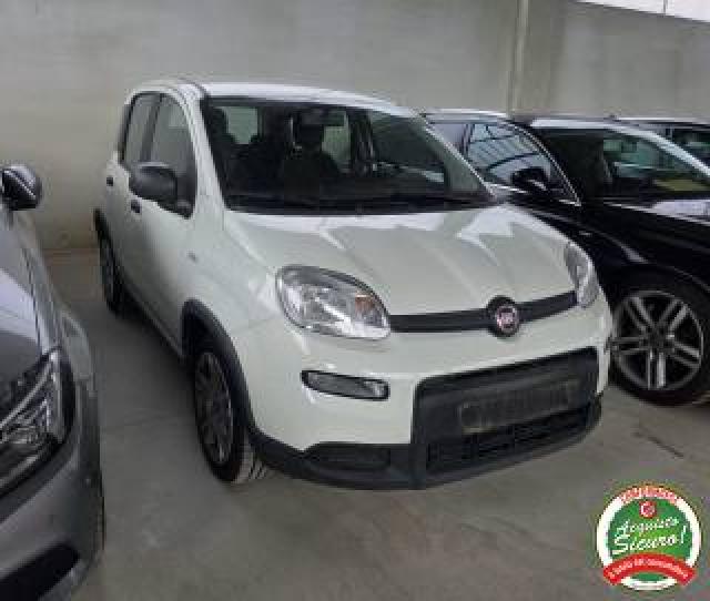 Fiat Panda 1.0 Hybrid 5 Posti Prezzo Reale 