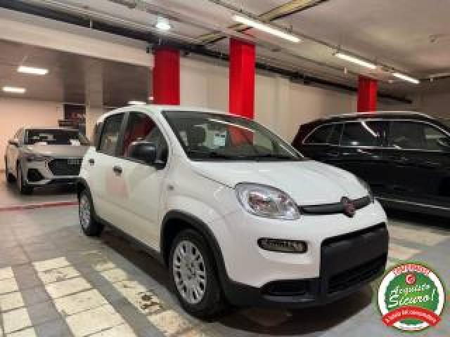 Fiat Panda 1.0 Hybrid Pandina Prezzo Reale 