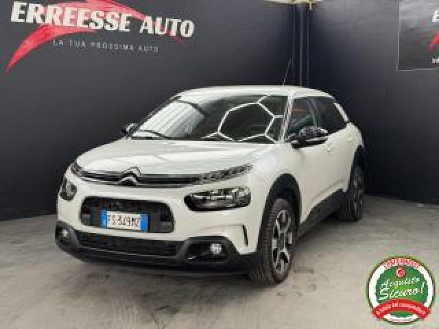 Citroen C4 Cactus 110 Cv S&s Shine Unico Prop. 