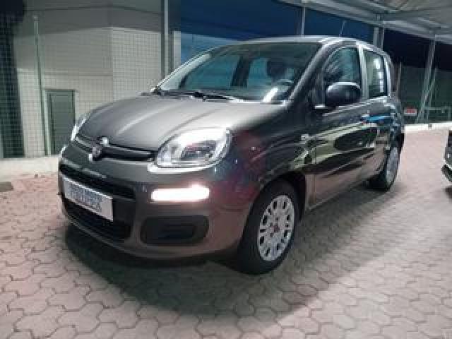 Fiat Panda 1.0 Hybrid 5 Porte Ok Neopatentato 