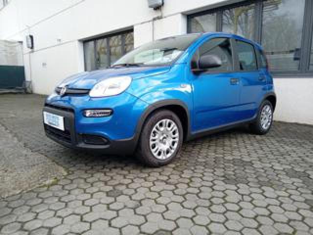Fiat Panda 1.0 Mild Hybrid Manuale Pandina Ok Neopat. Km Zero 
