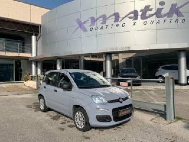 Fiat Panda 1.2 Easy Ok Neopatentati 