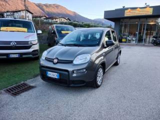 Fiat Panda 1.0 Firefly S&s Hybrid Ok Neopatentati-  - 