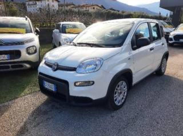 Fiat Panda 1.0 Firefly S&s Hybrid - Ok Neopatentati-  