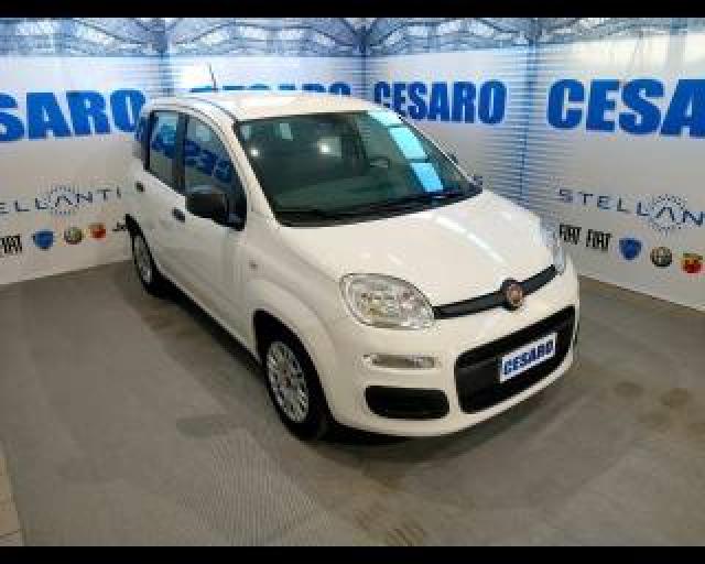 Fiat New Panda 1.0 Hybrid 70cv 5 Posti 