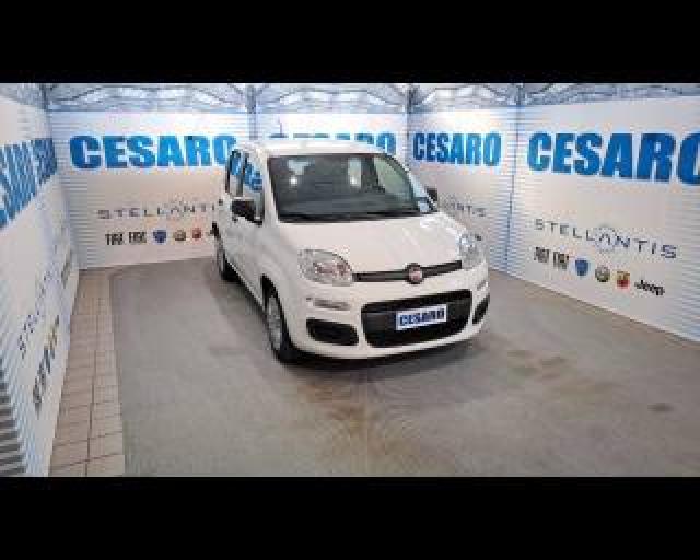 Fiat New Panda 1.0 Hybrid 70cv 5 Posti 