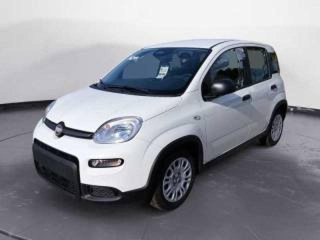 Fiat Panda 1.0 70cv Hybrid 