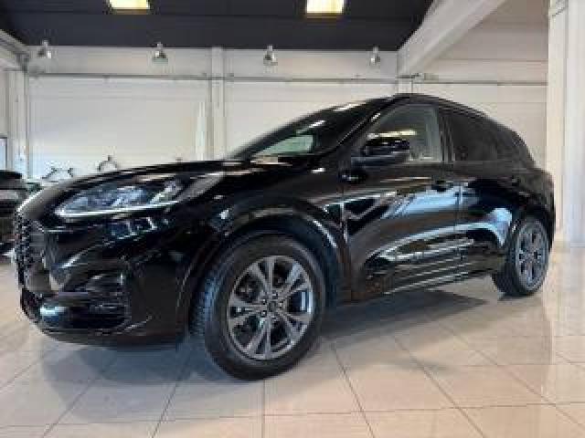 Ford Kuga 2.0 Ecoblue 120cv Aut. Awd St-Line X Pronta  