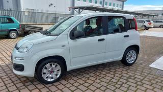 Fiat Panda 1.2 Easy Aziendale Italia  30.000  Km 